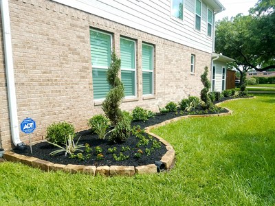New garden with mulch and plants