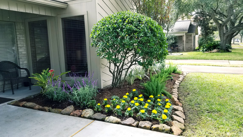 landscaping with flowers in cypress
