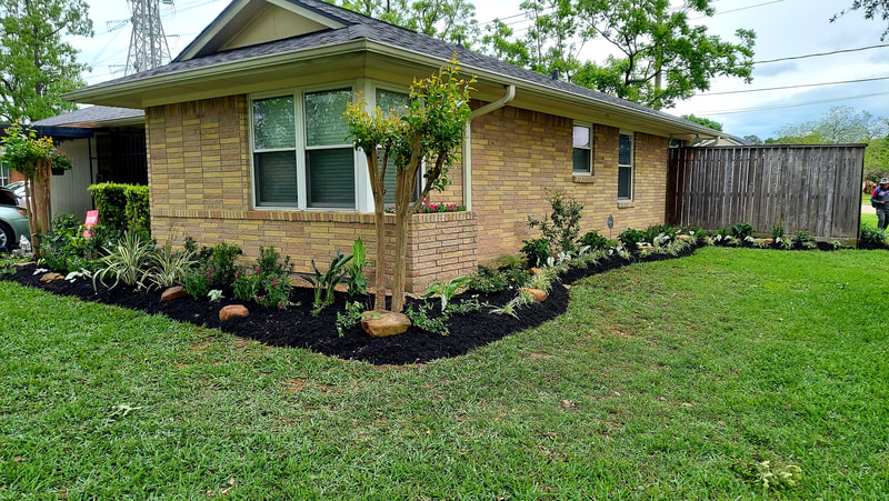 front landscaping design, plants and flowers