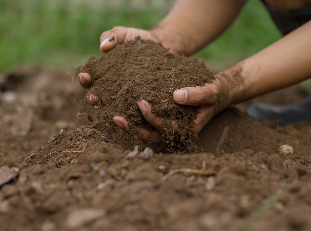 amending soil
