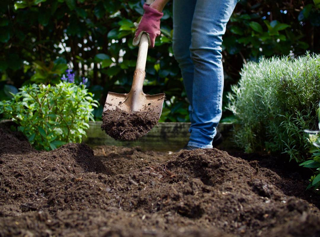 Soil preparation for garden