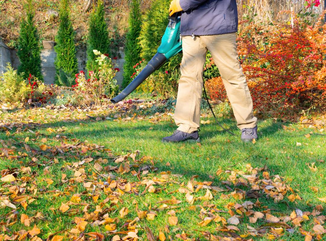 removing lawn leaves in spring